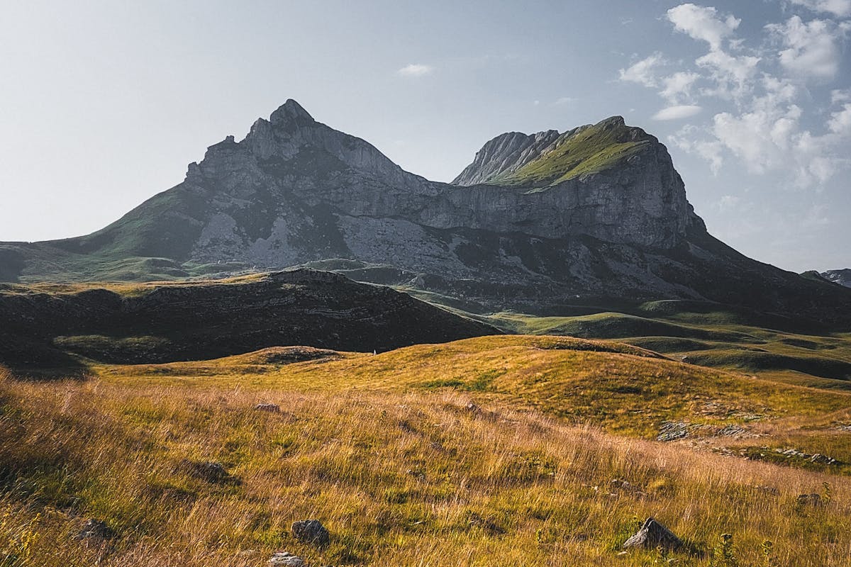 Black Lake in Durmitor National Park surrounded by pine forest