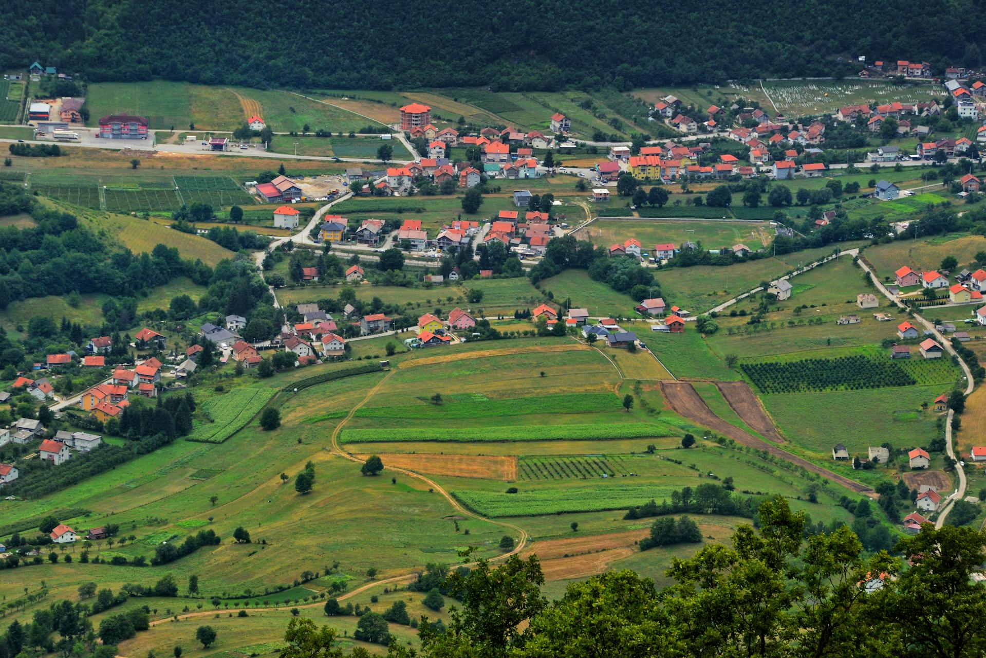 Montenegrin village near Cetinje
